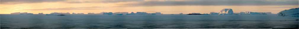 icebergs in zebra-look